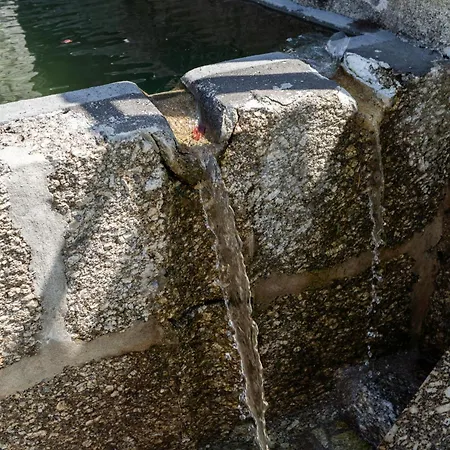 Quinta Carvoeiras * Vieira do Minho