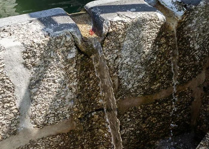 Quinta Carvoeiras * Vieira do Minho